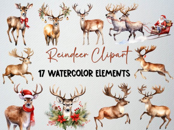 Download Watercolor Reindeer Clipart Set, 17 PNG - Premium Resources