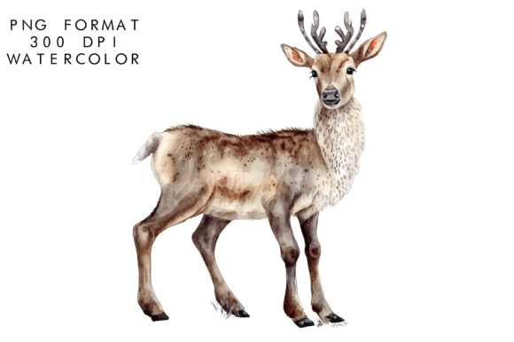 Download Watercolor Reindeer Clipart - Premium Resources