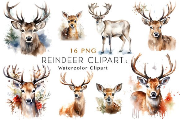 Download Watercolor Reindeer Clipart Bundle - Premium Resources
